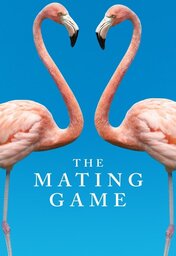  Movies - AR-DOC - The Mating Game (2021)